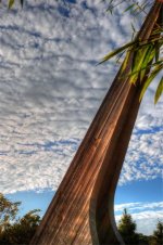 Florida Botanical Gardens 5.jpg