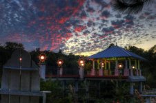 Florida Botanical Gardens 9.jpg