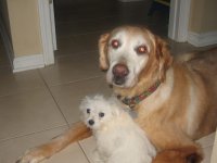 small_IMG_7132.JPG