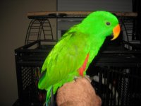 small_IMG_7133.JPG