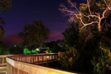 Florida Botanical Gardens 4.jpg