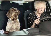 old woman & dog.jpg