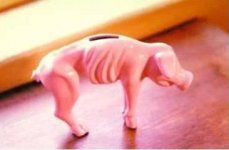 piggybank01.jpg