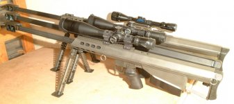 barretts001.jpg