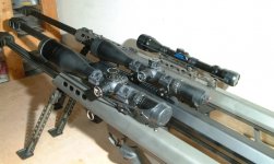 barretts005.jpg