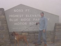 Picture 011.jpg