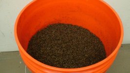 skeeter_bucket02.jpg