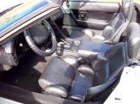 Interior2.jpg