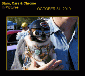 scc.gif