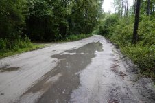 muddy_road_01.jpg