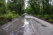 muddy_road_02.jpg