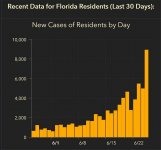 florida_new_cases_06252020.JPG