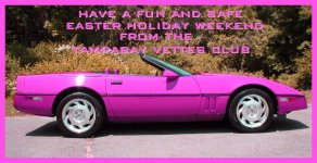 pinl corvette.jpg