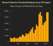 florida_new_cases_07022020.JPG
