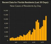 florida_new_cases_07032020.JPG