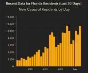 florida_new_cases_07092020.JPG