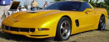01tigershark.jpg
