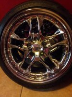 cr whe 2.jpg cr whe 2.jpg