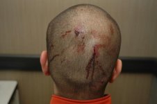 zimmerman_02.jpg