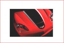 Hood Stripes.JPG