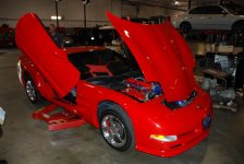 DSC_0100.jpg