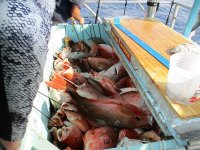 IMG_0794.JPG
