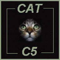 Cat C5