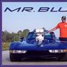 Mr. Blue
