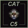 Cat C5