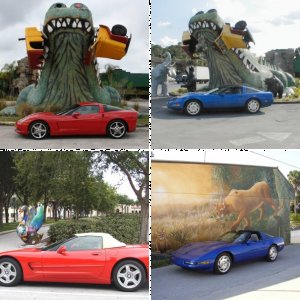 Some Corvettes