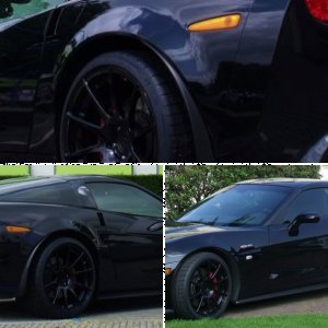 Black Beauty