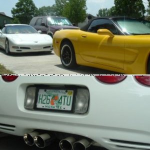 98 softtail