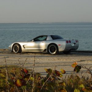 My QS Z