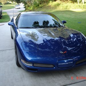 My Blue Angel