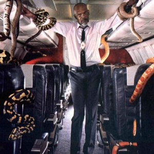 Snakes on a Plane