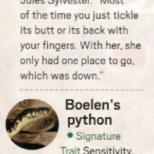 Meet_the_Snakes