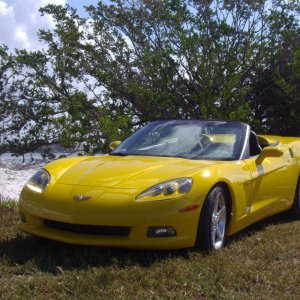2005 Velocity Yellow