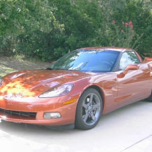 Fastcat3's Ride
