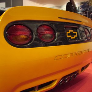 Tiger_Shark_Rear_WEB