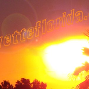 corvettefloridalogo