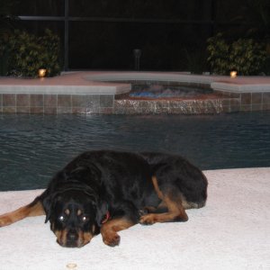 C5STATETROOPER'S MAGGIE