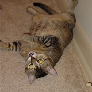 DSC02715