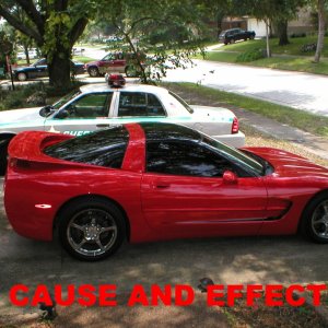Cause and Effect