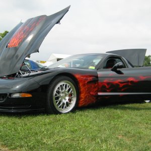 48294IMG_5557