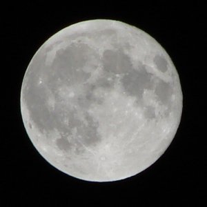 Moon Shot