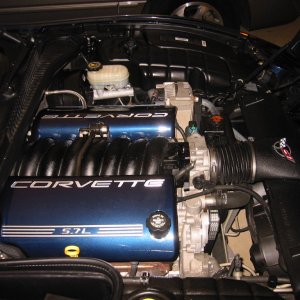 BLU2K Project