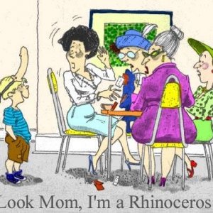 rhino