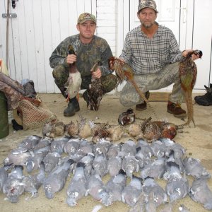 England Bird Hunting
