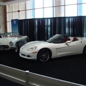 2006 Tampa Bay International Auto Show