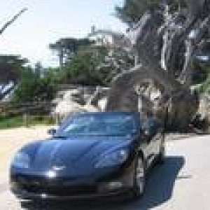 Media 'Our 3 week 7k+ road trip.' in category 'C6 Corvettes (2005 - ?)'